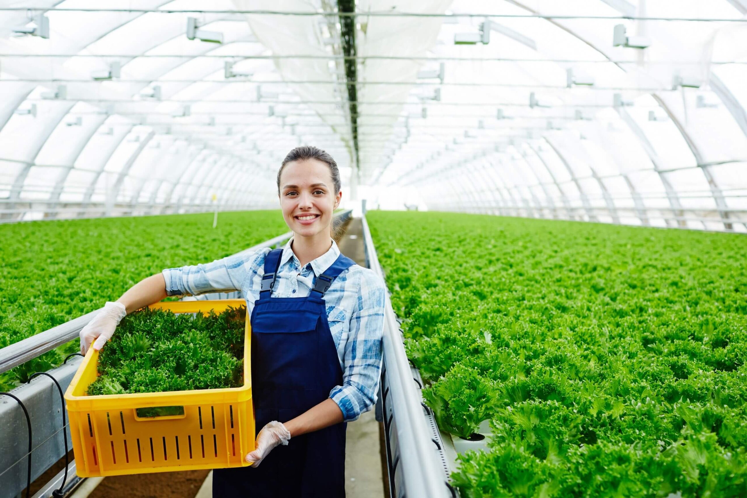 5 maiores dificuldades da gestão do agronegócio - Massa Pesagem