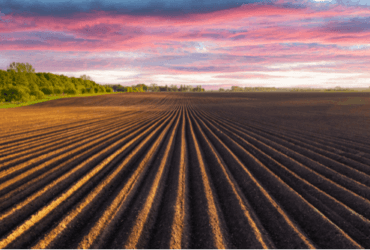 Agriculture and Livestock: Essential productive sectors for the Brazilian economy