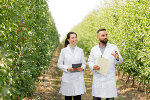 Current scenario of the agricultural market